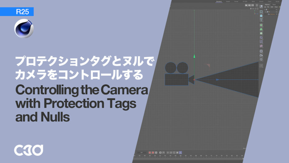 Controlling_the_Camera_with_Protection_Tags_and_Nulls